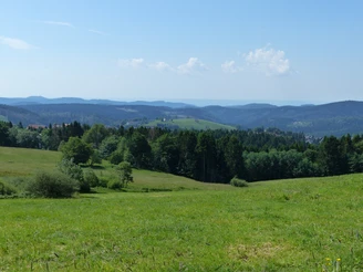 Blick auf die Bergstadt Sankt Andreasberg