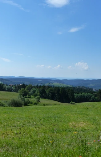 Blick von Norden auf Sankt Andreasberg