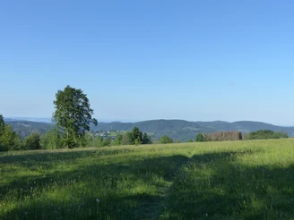 Blick von Osten auf Sankt Andreasberg