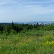 Aussicht auf das südwestliche Harzvorland