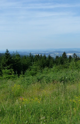 Aussicht auf das südwestliche Harzvorland