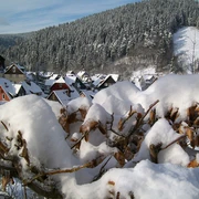 Wildemann im Winter