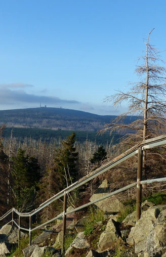 Blick vom Achtermann zum Brocken