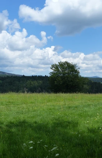Am Maththias-Schmidt Berg reicht die Sicht bis zum Brocken und Wurmberg