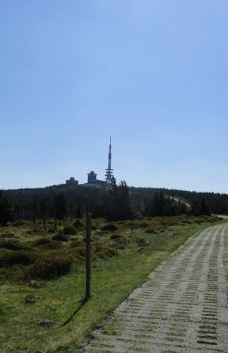Aussicht vom Kleinen Brocken zum Brocken