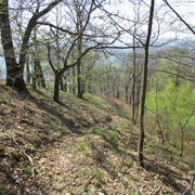 Trails am Südharzrand