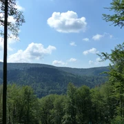 Blick über die Südharzer Wälder