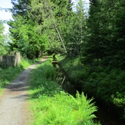 An den Bächen im Westharz