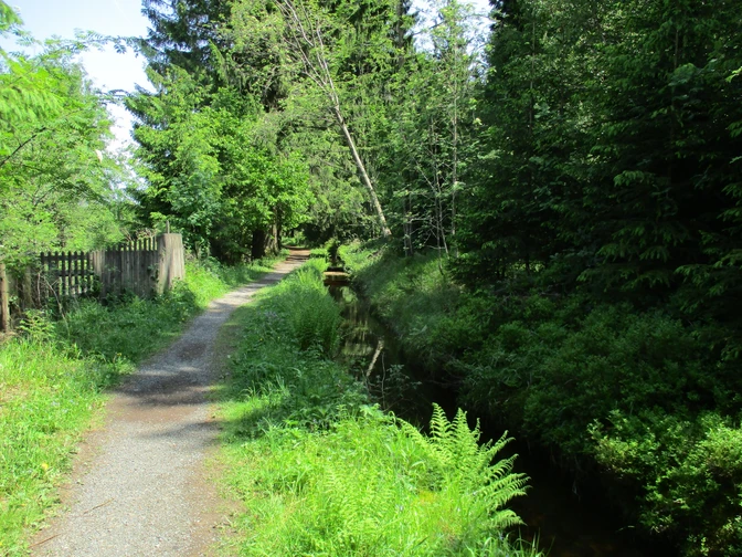 An den Bächen im Westharz
