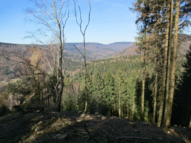 Die Westharzer Bergketten