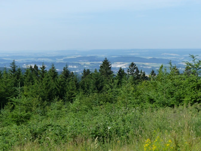 Ausblick auf das westliche Harzvorland