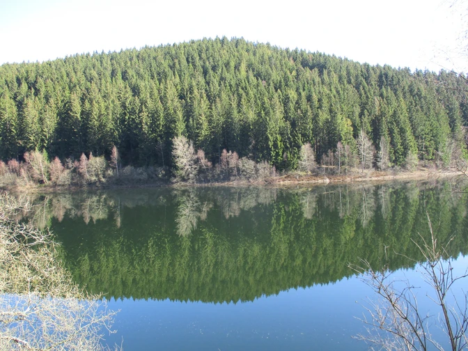 Die Route führt durch das Oberharzer Wasserregal