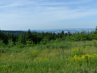 Westlicher Teil des Harzes bei Bad Grund