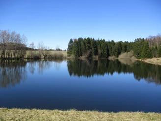 Die Überquerung führt durch das Oberharzer Wasserregal