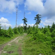 Bizarre Landschaft im Hochharz
