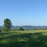 Abfahrt mit Blick auf St. Andreasberg und Südharz