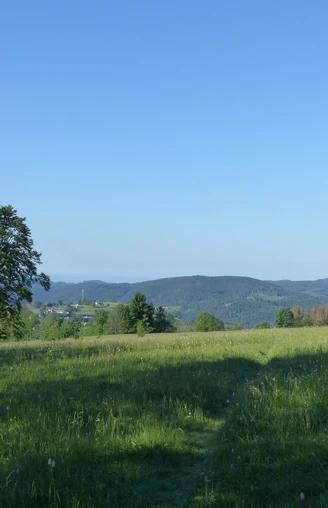 Abfahrt mit Blick auf St. Andreasberg und Südharz