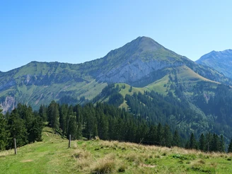 Morgenberghorn.