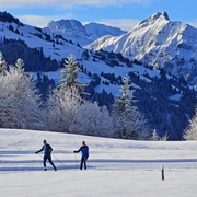 Cross-country skiing Aeschiried