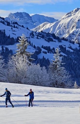 Cross-country skiing Aeschiried