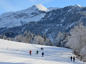 Cross-country skiing Aeschiried