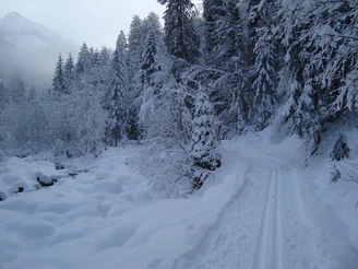 Cross-country skiing Aeschiried