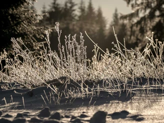 Winterlandschaft Oben im Harz