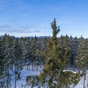 Winterlandschaft OBEN im HARZ