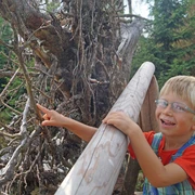 WaldWandelWeg entdecken
