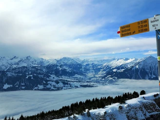 Panneau indicateur sur le Niederhorn.