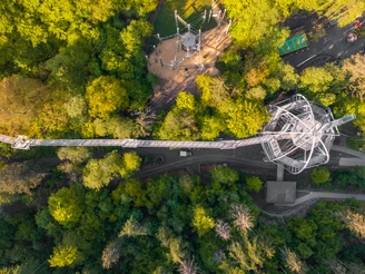 Baumwipfelpfad Harz Draufsicht