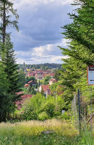 Circular route Harzer-Höhenvieh Trail in Tanne