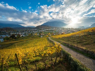 Chemin Spiez Rebberg