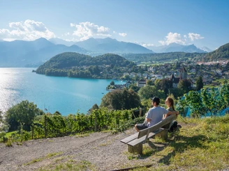 Vue Spiez Rebberg Buch lac de Thoune
