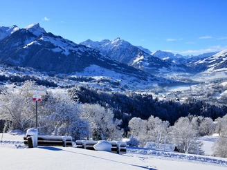 Aeschiallmi mit Blick Richtung Frutigland