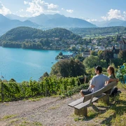 Aussichtsbänkli beim Rebberg