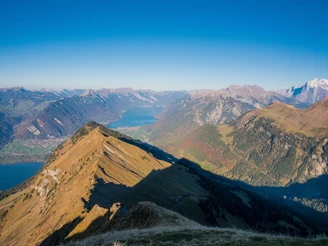 Vue sur le Morgenberghorn