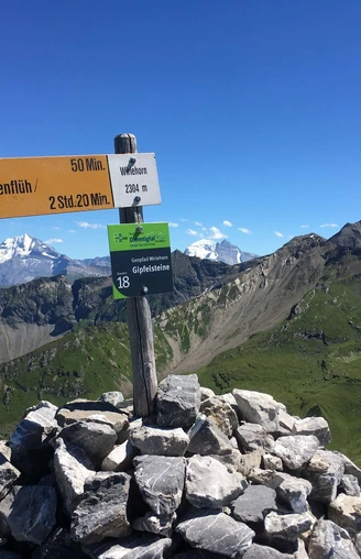 Auf dem Gipfel des Wiriehorns