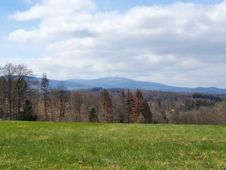 Forstthematischer Wanderweg am Ortsrand von Elbingerode - Brockenblick