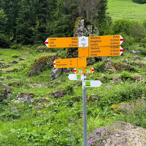 Schlieri
