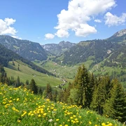 Aussicht von Röschteschwend auf die Streusiedlung Zwischenflüh