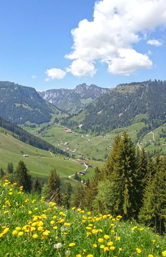 Vue de Röschteschwend sur le hameau Zwischenflüh
