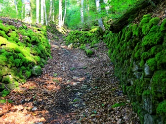 Weg zur Schynige Platte.