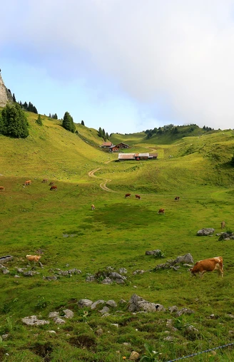 Auf der Schynige Platte.