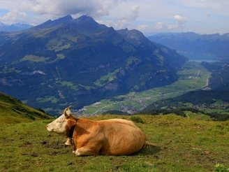 Auf dem Weg nach Planplatten.