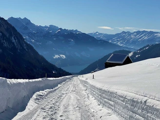 Aussicht auf den Thunersee, blick richtung Habkern wo der Wanderweg in die asphaltierte Strasse übergeht