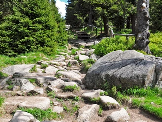 Eckerlochstieg zum Brocken