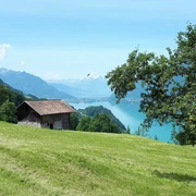 Above Iseltwald, view of Lake Brienz
