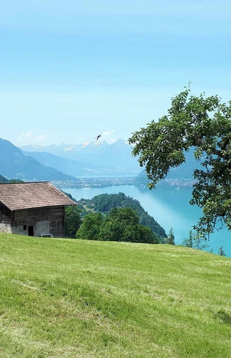 Au-dessus d'Iseltwald, vue sur le lac de Brienz