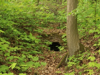 Kunstgraben westlich des Kunstteiches Wettelrode